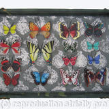 Mauris Papiliones x15 #41