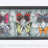 Mauris Papiliones x10 #42