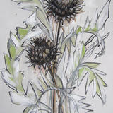 Artichoke Charcoal Study
