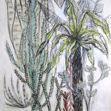 Cactus And Palm Study