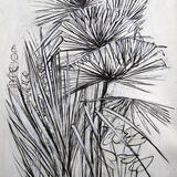 Fan Palm Study