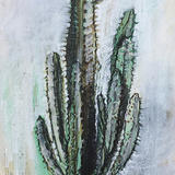 Cactus Charcoal Study