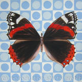 Red Admiral on pattern