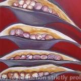 Seedpods Red