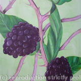 Blackberry