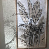 Shadows on Banana Palm