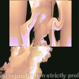 Energia male female origin