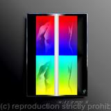 The State of Perfection 8