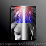 The State of Perfection 10