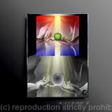 The State of Perfection 12