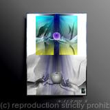 The State of Perfection 14