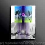 The State of Perfection 15