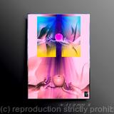 The State of Perfection 17