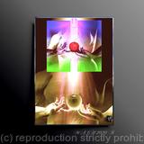 The State of Perfection 19