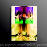 The State of Perfection 20