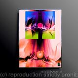 The State of Perfection 21