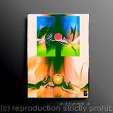 The State of Perfection 23