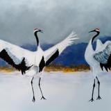 Japanese Cranes