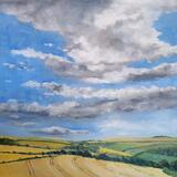 Cotswold Wheat Fields