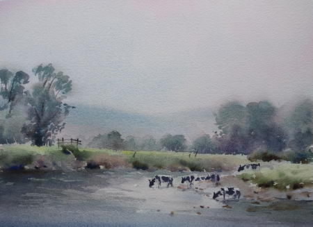 Cows on the river Wye