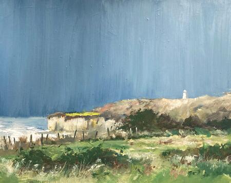 Cwm Nash from Col Huw top field.