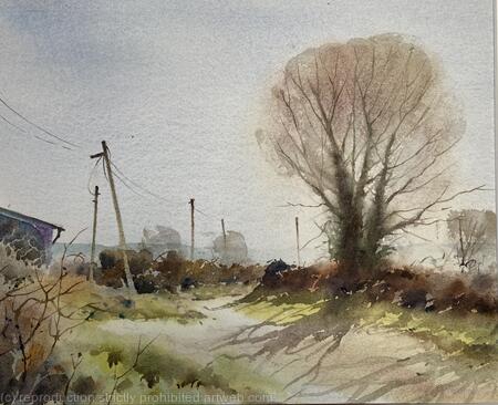 Sunlight on Morfa Lane