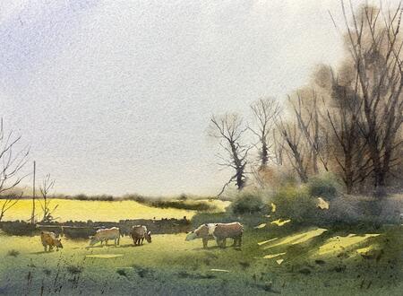 Cows on the beach road