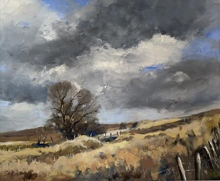 Cwm Cadlan, Penderyn