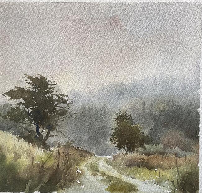 Above Betws y Coed.