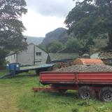 Farm in Borrowdale photo