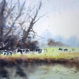 River Cows