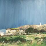 Cwm Nash from Col Huw top field.