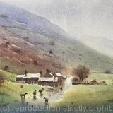 Farm, Nant Ffrancon
