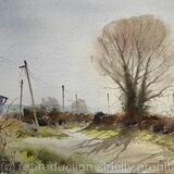 Sunlight on Morfa Lane