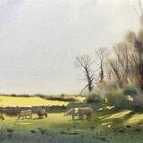 Cows on the beach road