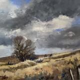 Cwm Cadlan, Penderyn