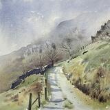 On the back lane Nant Francon 