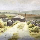 The lane to Bosiliack