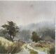 Above Betws y Coed.