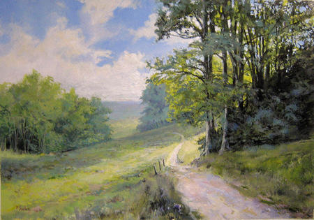 The North Downs at Gatton