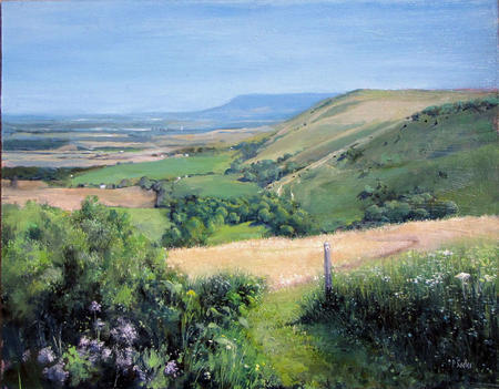 South Downs View
