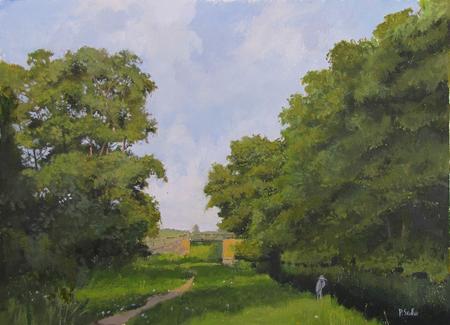 Evening Sunshine River Wey 