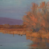 Last Light - Nutfield Marsh