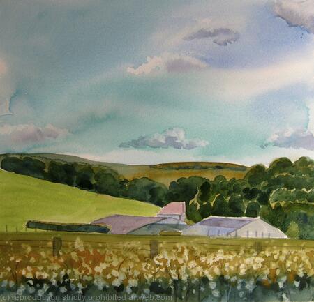 Sussex Farm in summer