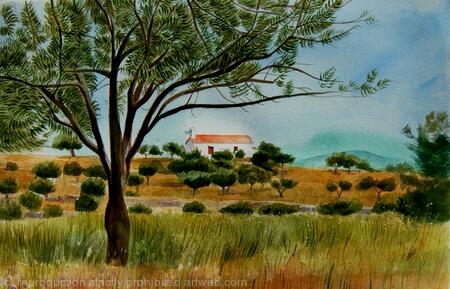 Olive tree in Greece