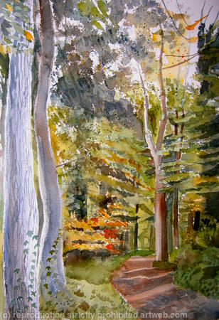 Autumn Woods in Sunlight