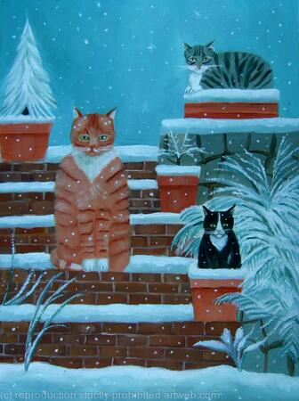 Cats in snow