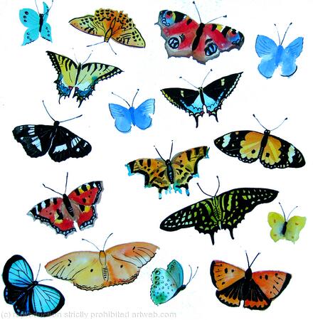 Butterflies- moths, insects and bugs art