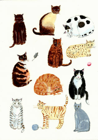 Collection of Cats