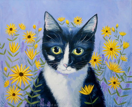 Kitty with Daisies